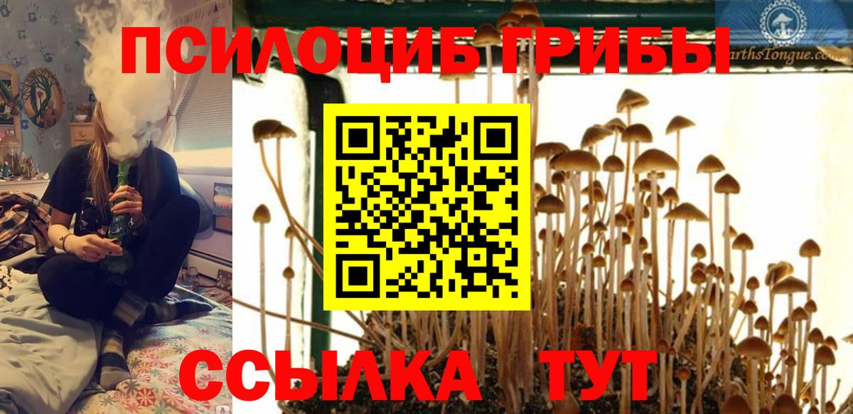 Галлюциногенные грибы Psilocybine cubensis  Вход с VPN  Октябрьский 